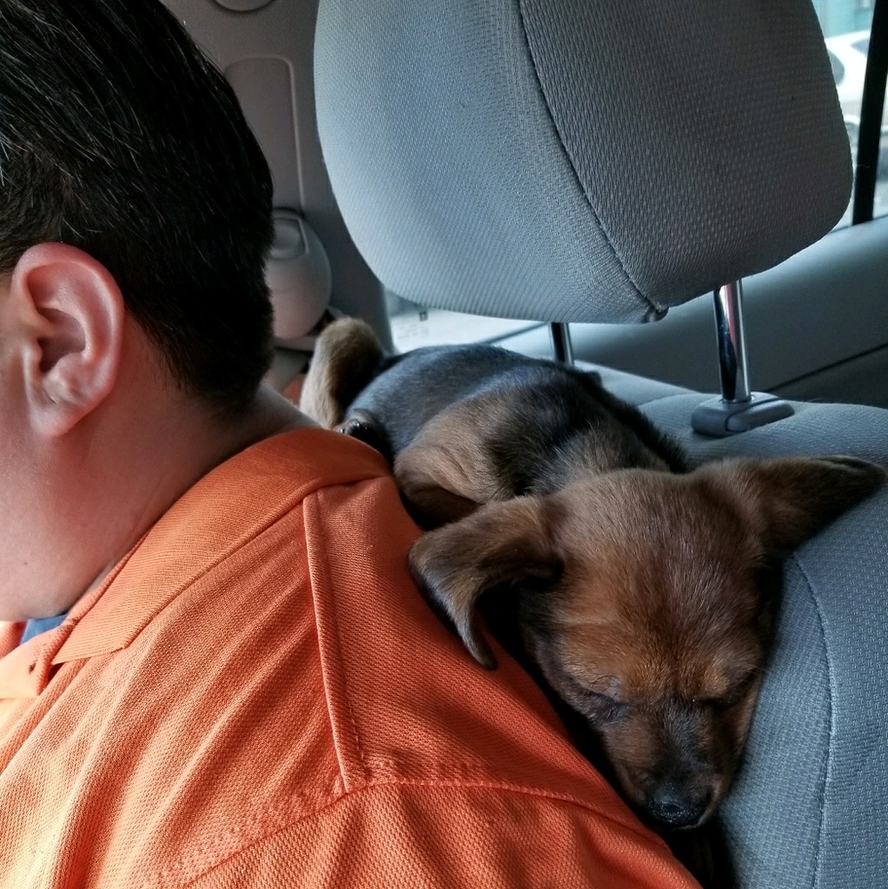 Meet your Posher, Imelda